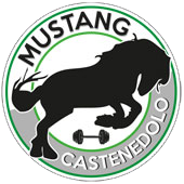 Palestra Mustang